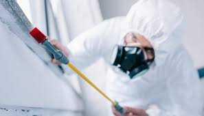 Real Estate Pest Inspections in Bradfordville, FL